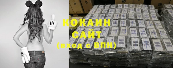 ПСИЛОЦИБИНОВЫЕ ГРИБЫ Заволжье