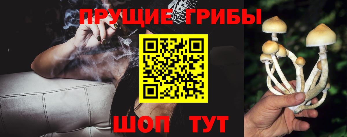 Галлюциногенные грибы MAGIC MUSHROOMS  Вход с VPN  Электрогорск 